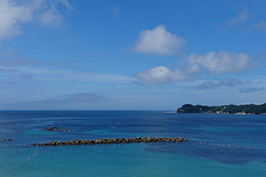 ７月　青一色
