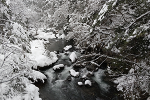 ２月　冬の川<"