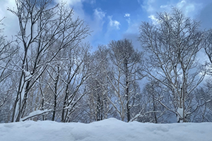 ２月　>２月　湖畔からの富士山