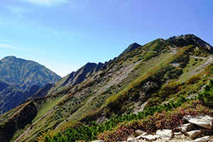 １０月　北アルプスの登山道から