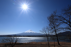 ２月　湖畔からの富士山