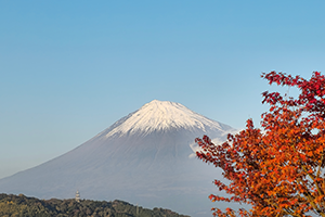 １１月　晩秋の富士山